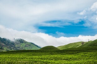 翠绿山野间的蓝天白云