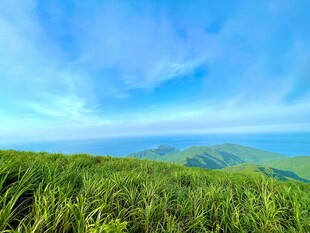 翠绿草原与蓝天美景