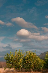 蓝天绿树间的自然美景