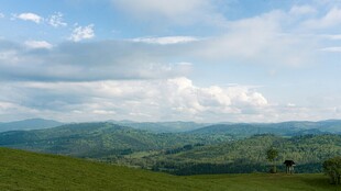 广袤绿野上的蓝天白云