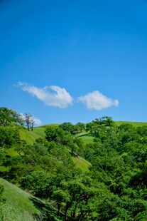 青山蓝天绿意盎然风景图