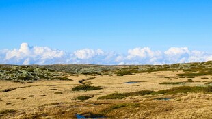 广袤荒原上的蓝天白云