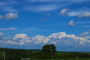 蓝天白云下的绿树田野