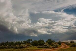 旷野云景下的蜿蜒土路