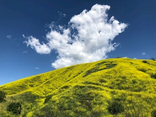 青山白云间的明媚风光