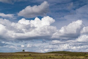 草原上空的壮丽云朵景观