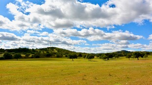 广袤草原蓝天白云美景