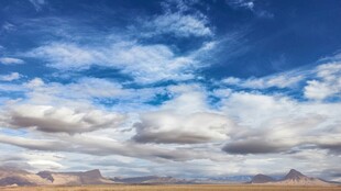 蓝天白云下的广袤旷野