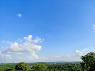 蓝天绿树间的清新景致