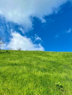 翠绿山坡上的蓝天白云