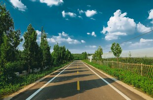 乡间公路风景