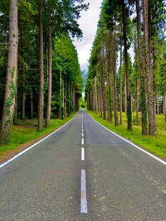 林间笔直公路风景