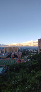 黄昏下的建筑与葱郁植被