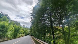 山间公路绿意盎然的旅程