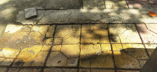 阳光下的彩色砖石路面