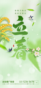 立春