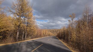 秋日林间公路美景