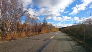 秋日旷野中的蜿蜒公路