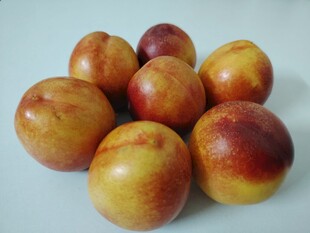 油桃 桃子