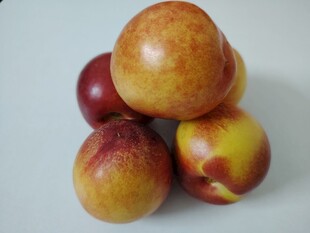 油桃 桃子