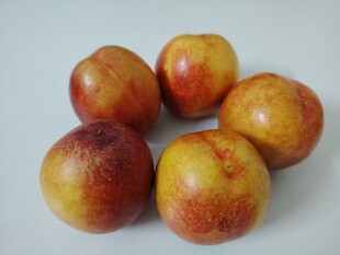 油桃 桃子