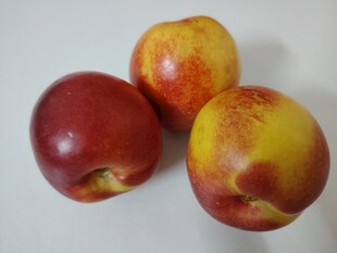 油桃 桃子