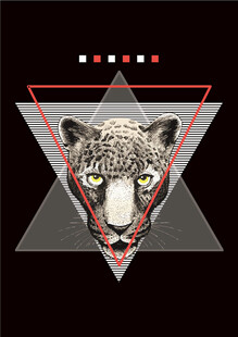 三角框中的神秘猫头鹰