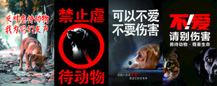守护动物生命