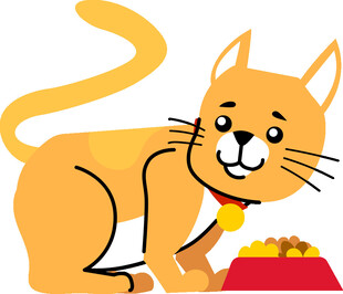 可爱橘猫享用美味猫粮