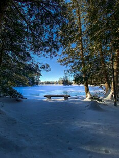 冬日雪林边的静谧湖泊