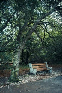 林间长椅