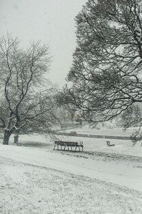 冬日雪景中的静谧长椅