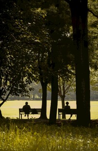 林间湖畔的静谧时光