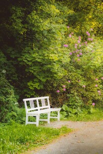 林间白长椅