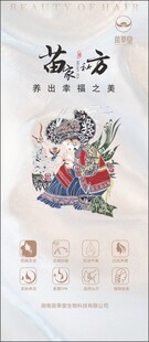 传统苗方养生插画展示