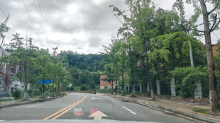 阴雨天行车途中宁静街道