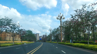 宽阔公路旁绿树蓝天白云