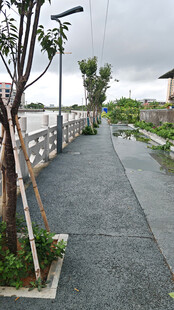 雨中宁静的户外步道景观