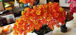 仿真鲜艳橙花盆栽展示