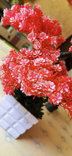 仿真鲜艳红花卉盆栽展示