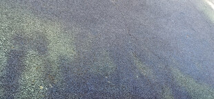 阳光斑驳的沥青路面