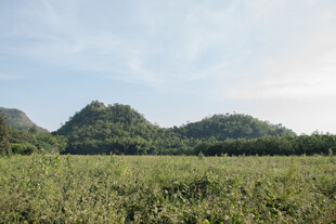 绿野青山田园风光美景