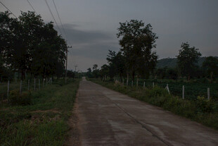 乡间小路 静谧田园风光