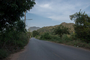 山间幽静公路景色