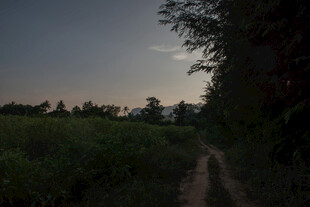 黄昏乡间小路 静谧自然景