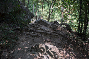 山林间的崎岖岩石小径