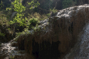 山间岩石与绿植景观