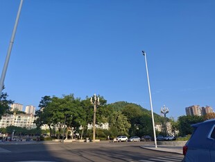 城市街道旁的绿树与蓝天