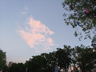 夕阳下的树林与天边彩云
