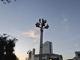 城市中的独特造型路灯